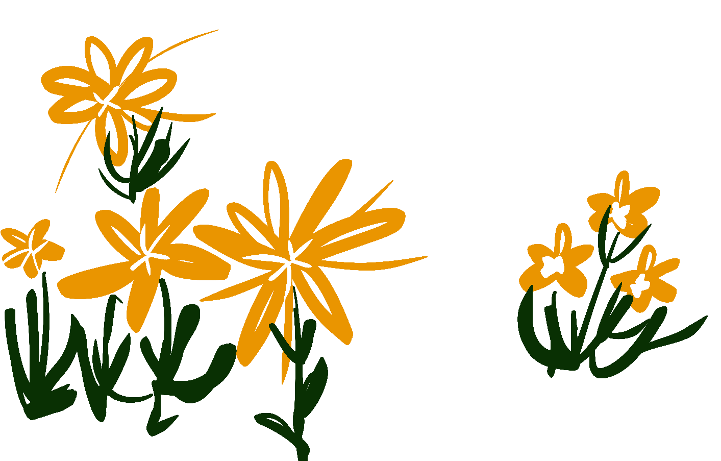 fleur jaune
